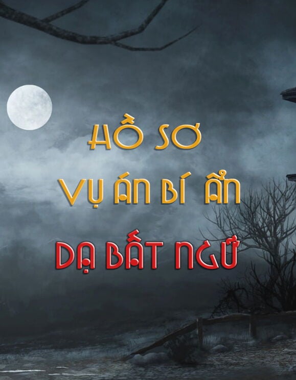 Hồ Sơ Vụ Án Bí Ẩn