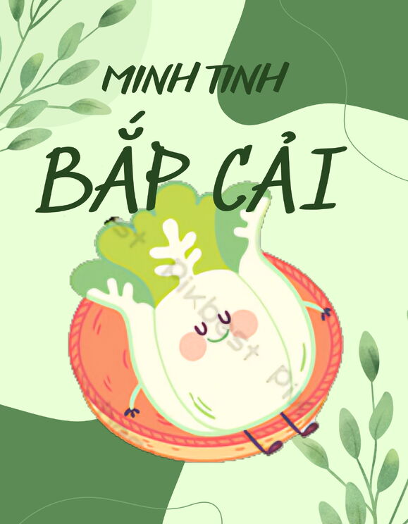 Minh Tinh Bắp Cải