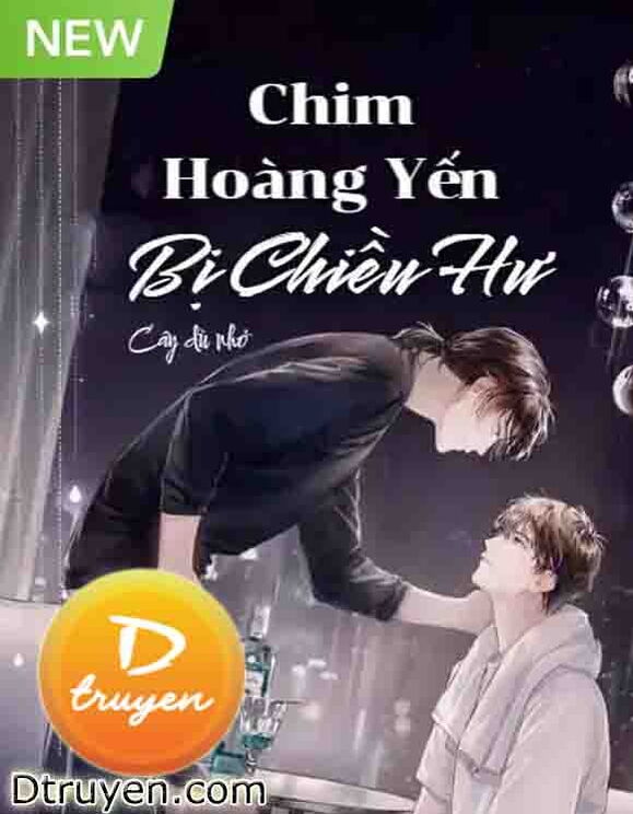 Chim Hoàng Yến Bị Chiều Hư