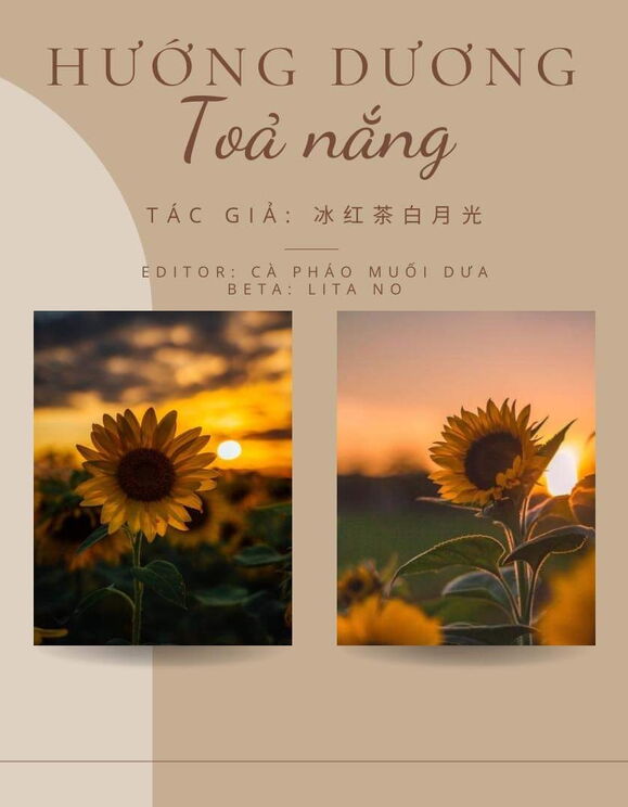 Hướng Dương Tỏa Nắng