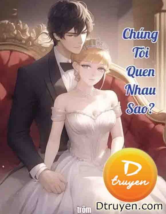 Chúng Tôi Quen Nhau Sao?