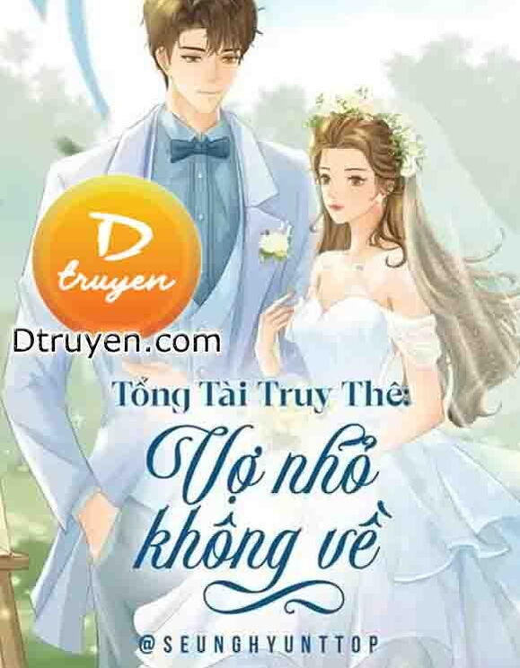 Tổng Tài Truy Thê: Vợ Nhỏ Không Về