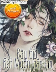 Bây Giờ, Rất Muốn Gặp Em