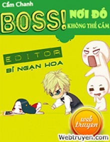 Boss, Nơi Đó Không Thể Cắm