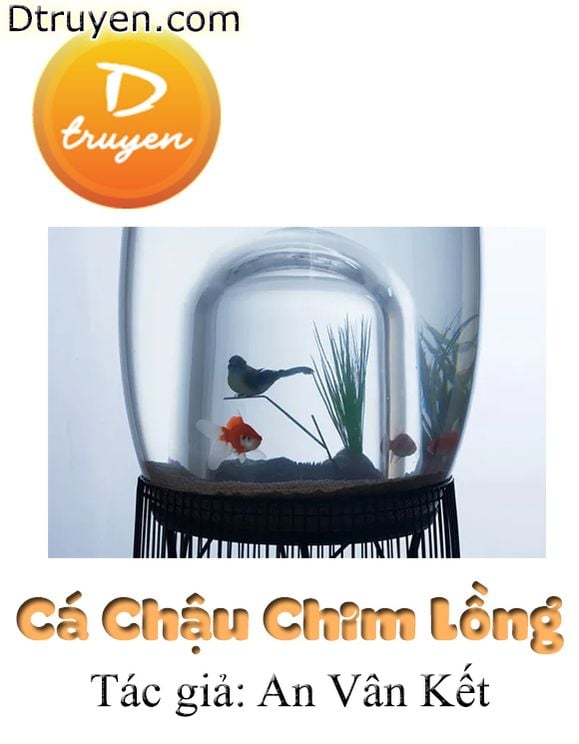 Cá Chậu Chim Lồng