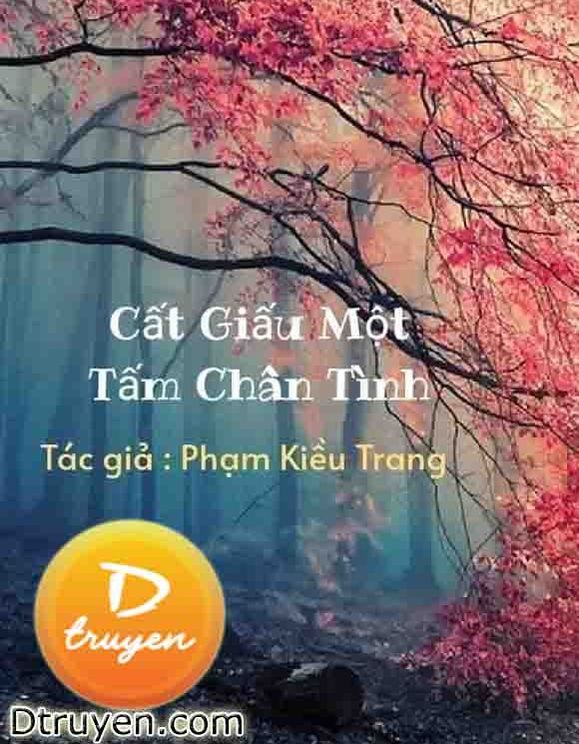 Cất Giấu Một Tấm Chân Tình