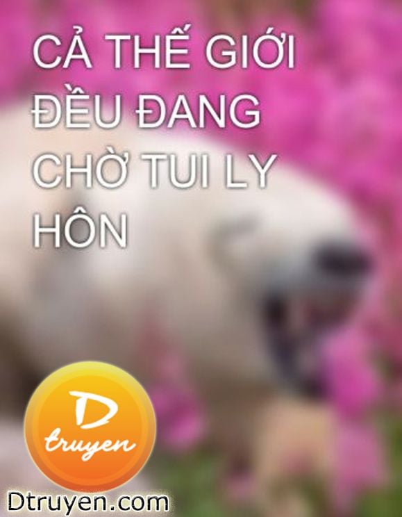 Cả Thế Giới Đều Đang Chờ Tui Ly Hôn