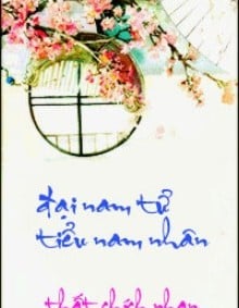 Đại Nam Tử Tiểu Nàng Dâu