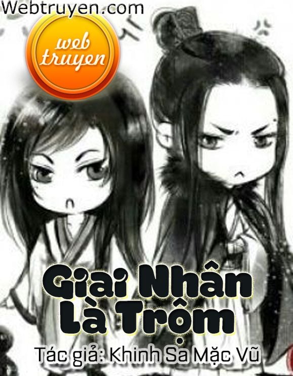 Giai Nhân Là Trộm