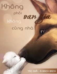 Không Phải Oan Gia, Không Cùng Nhà