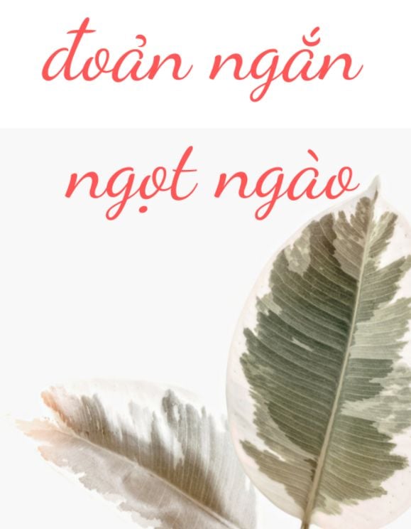 Đoản Văn Đam Mỹ Ngọt Sủng