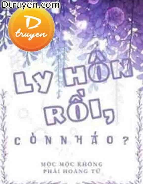 Ly Hôn Rồi, Còn Nháo