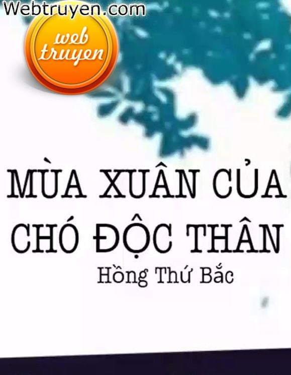 Mùa Xuân Của Chó Độc Thân