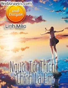 Người Tôi Thích... Chính Là Em