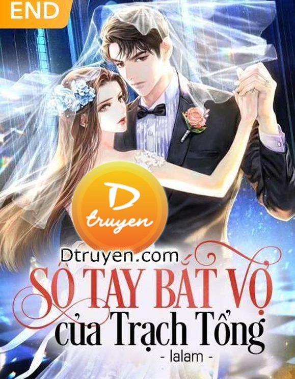 Sổ Tay Bắt Vợ Của Trạch Tổng