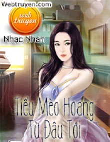 Tiểu Mèo Hoang Từ Đâu Tới