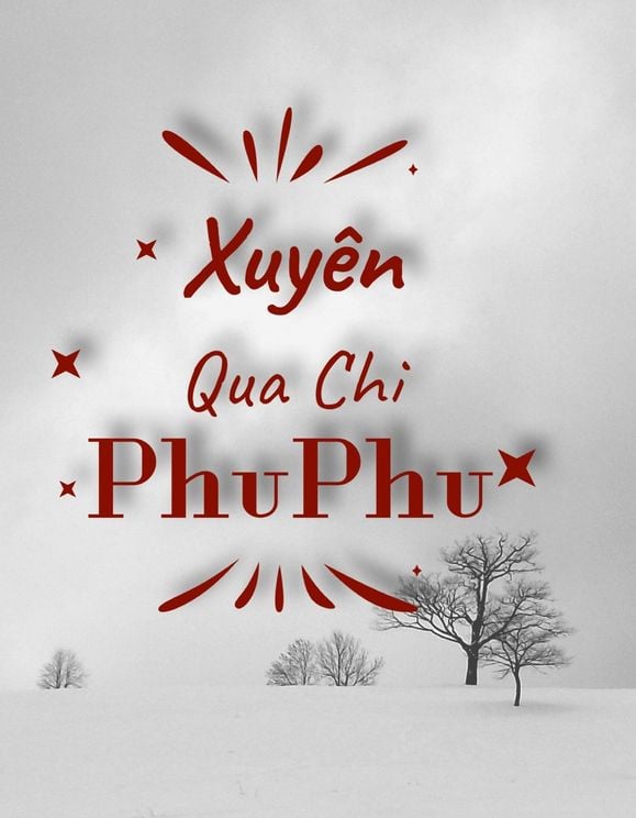 Xuyên Qua Chi Phu Phu